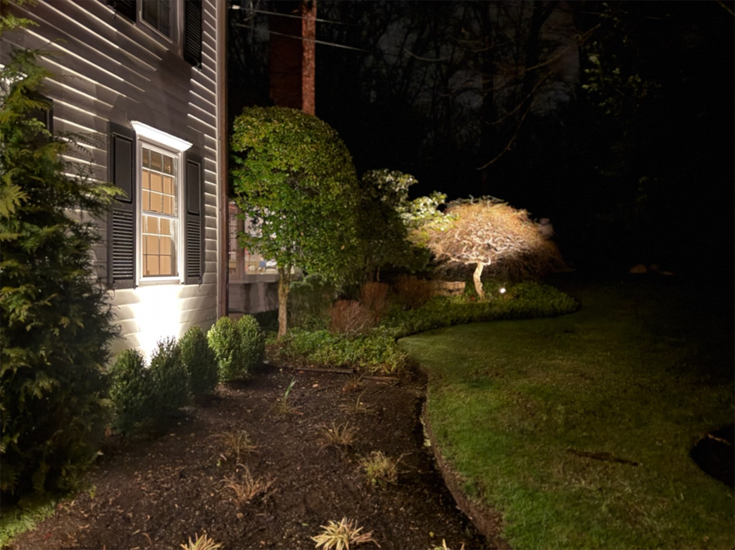 A house with a lot of trees in front of it at night.