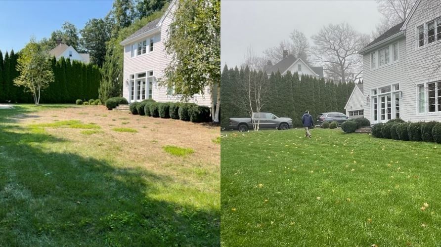 Before and after lawn care service