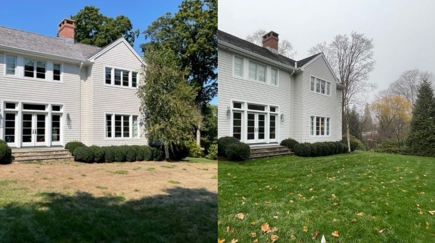 Before and after lawn care service