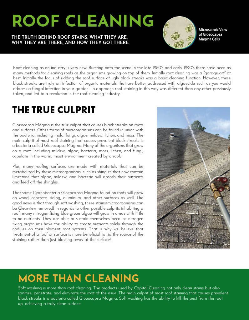 Roof cleaning brochure