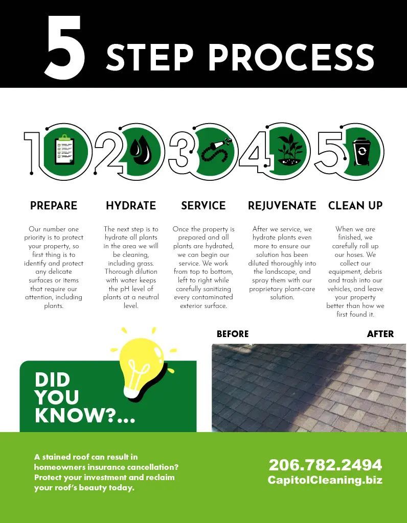 5 Step process brochure