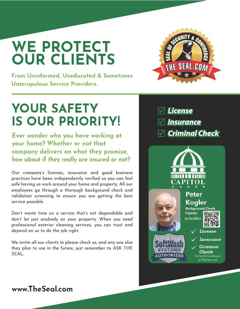 We protect our clients brochure