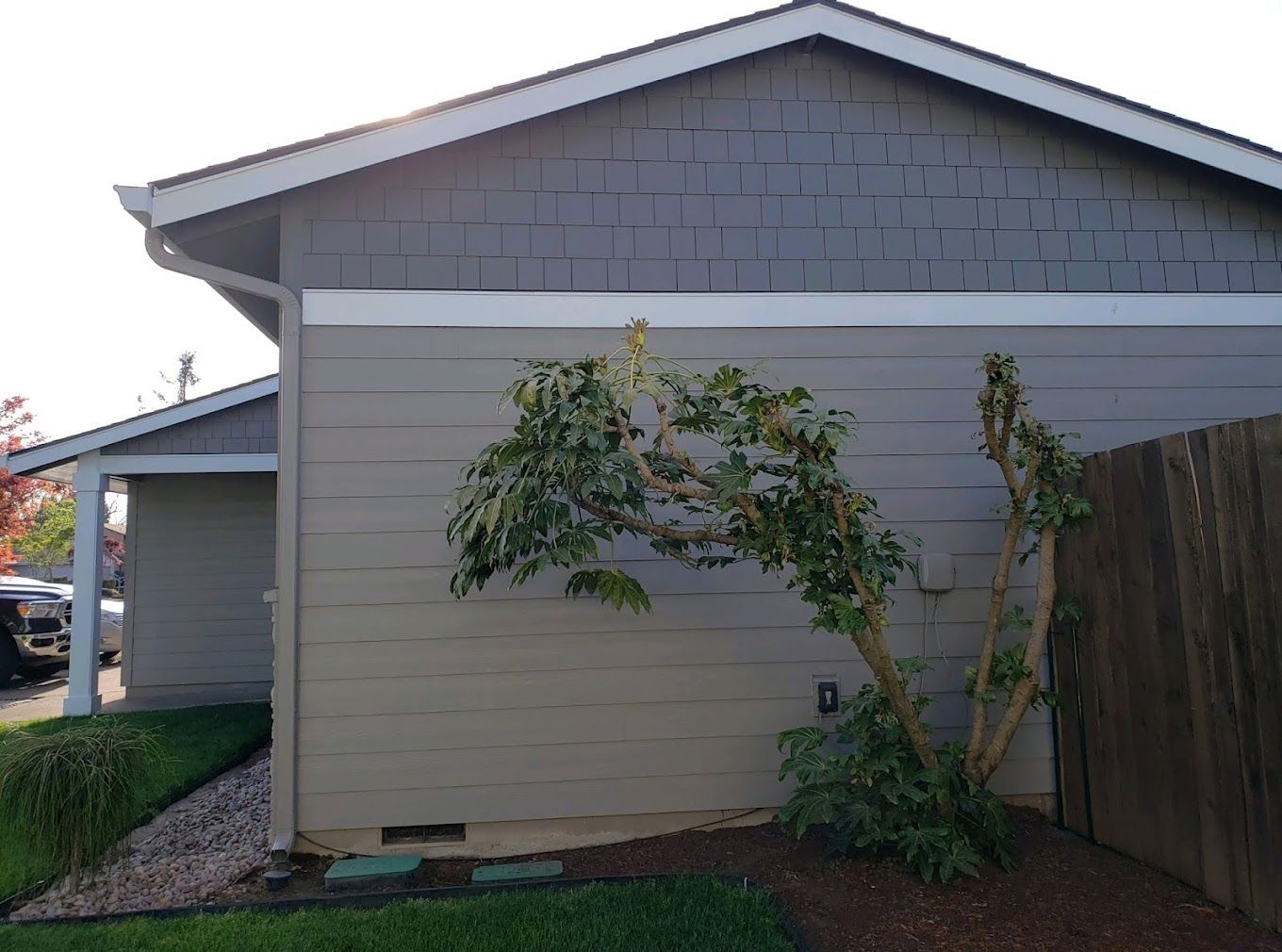 A house with a tree in front of it and a fence.