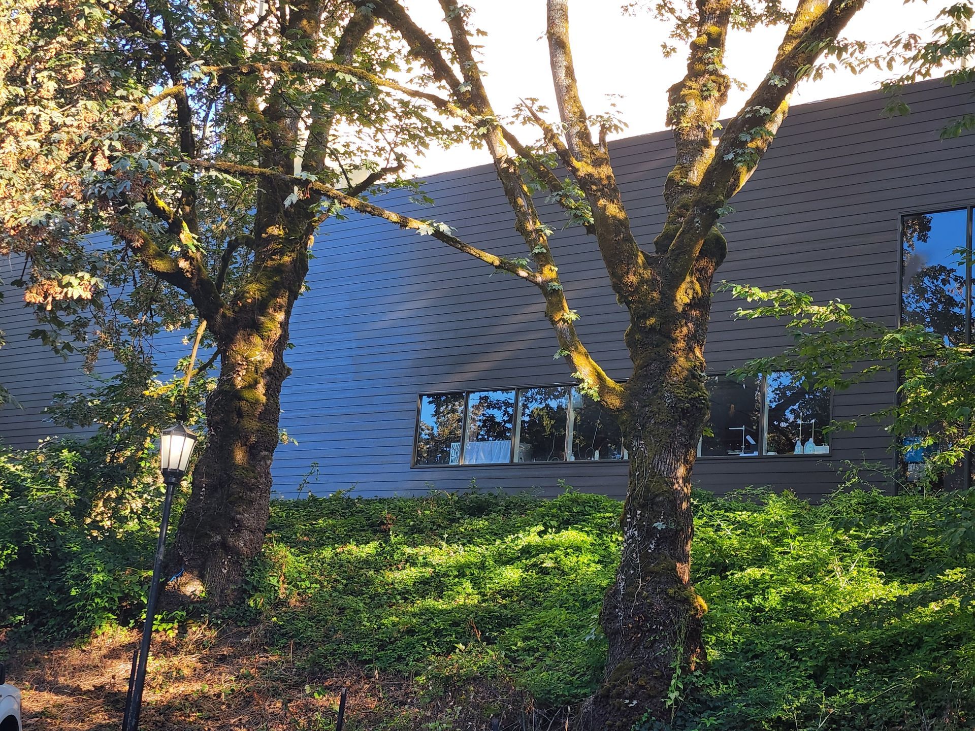 A building with a lot of windows and trees in front of it