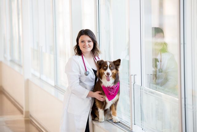 Veterinary - Holthaus Medical
