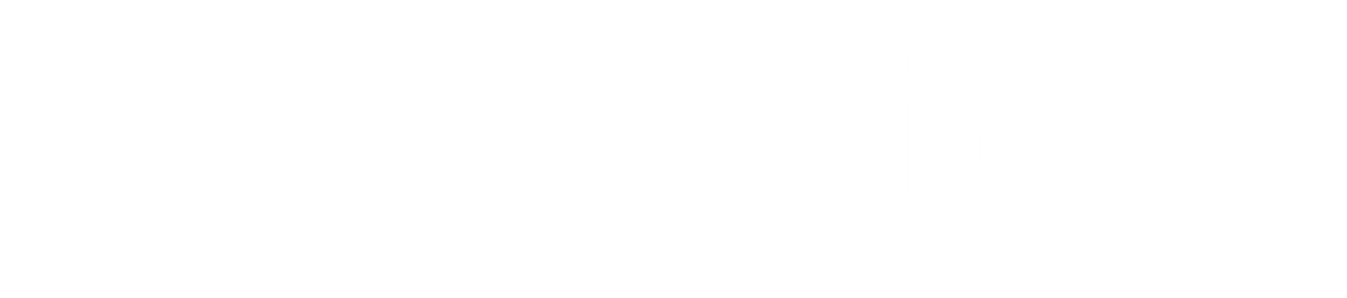 Evollusion Electronics & Accessories logo