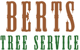 Berts Tree Service