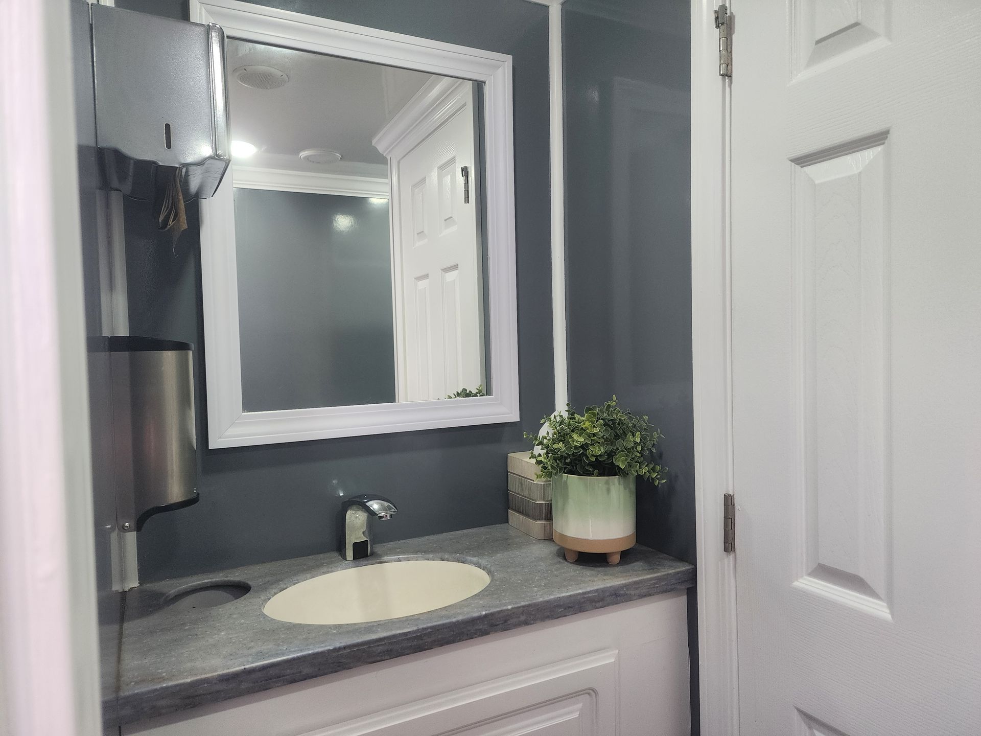 Small bathroom vanity with gray walls, white sink, mirror, and potted plant on the counter