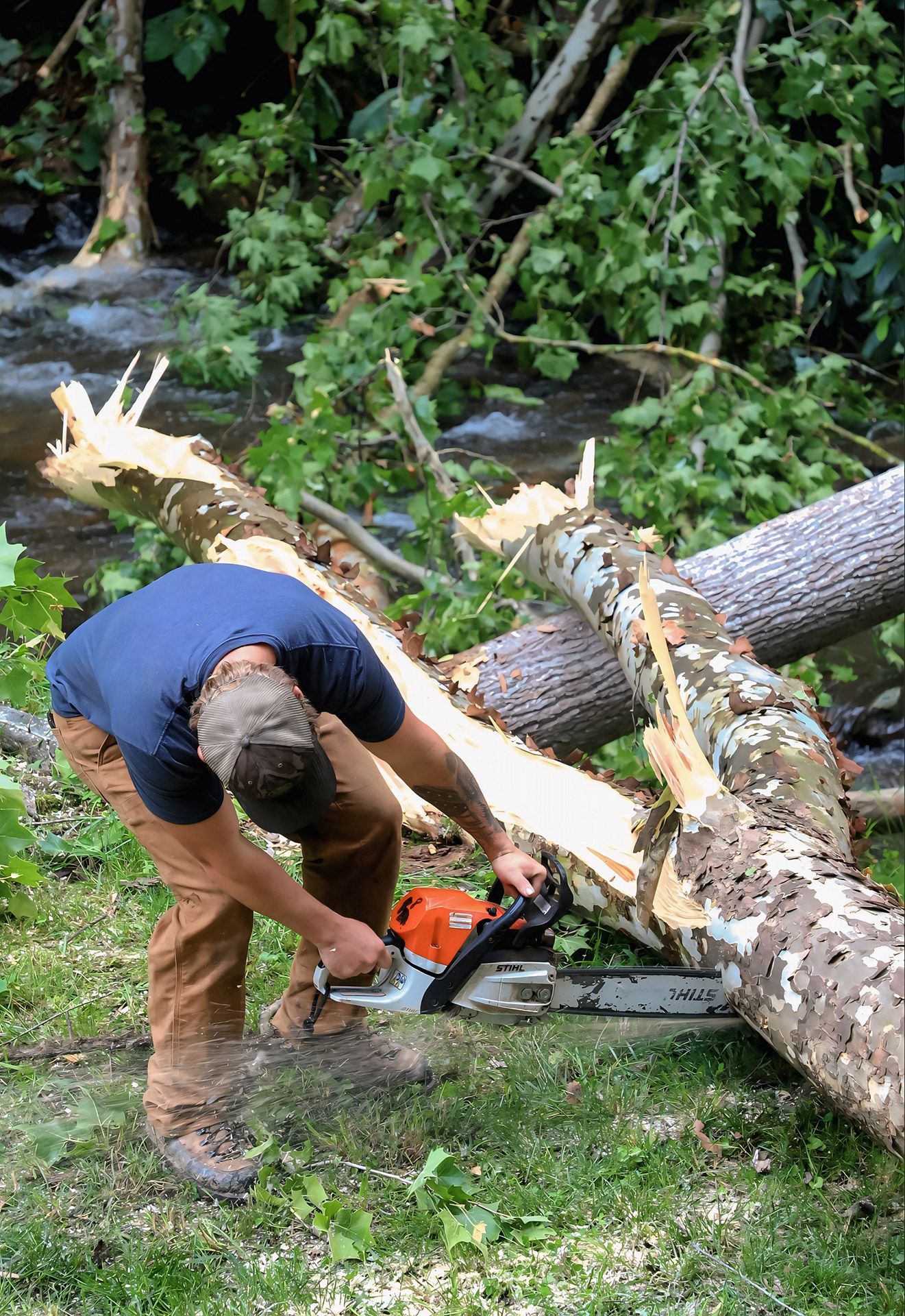 Man using a chainsaw to cut a fallen tree, near a stream.