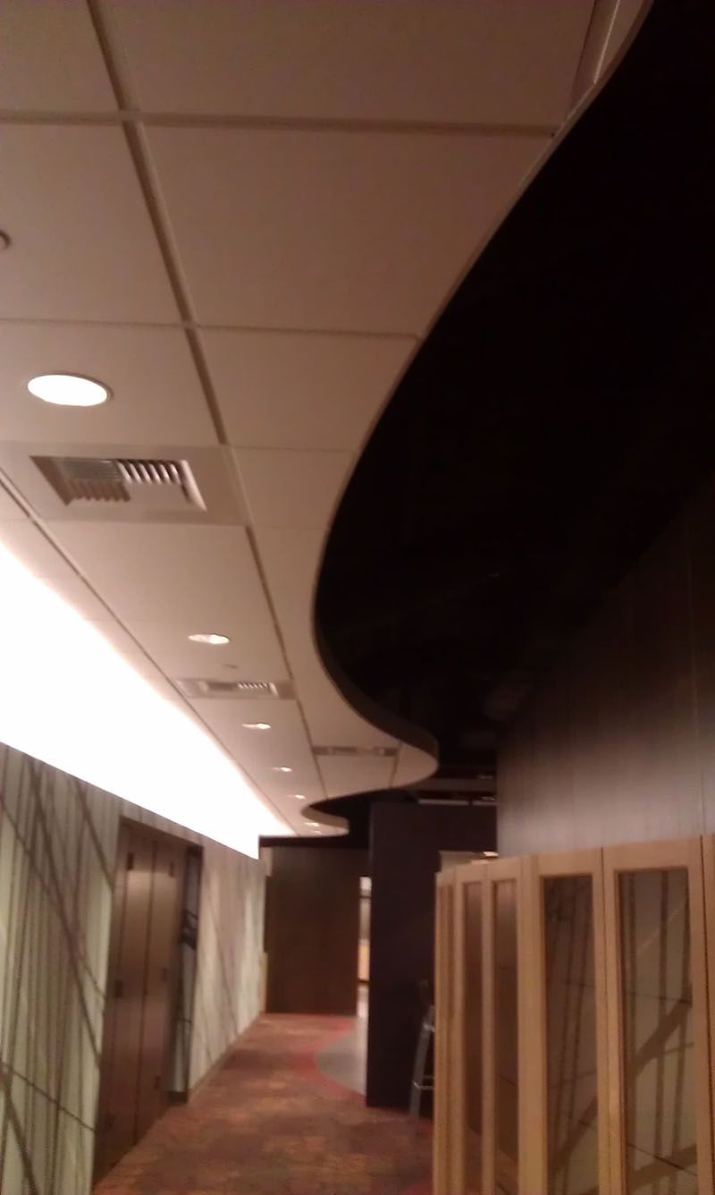 Corridor with curved black accent. White ceiling with recessed lights, carpeted floor, and doors.