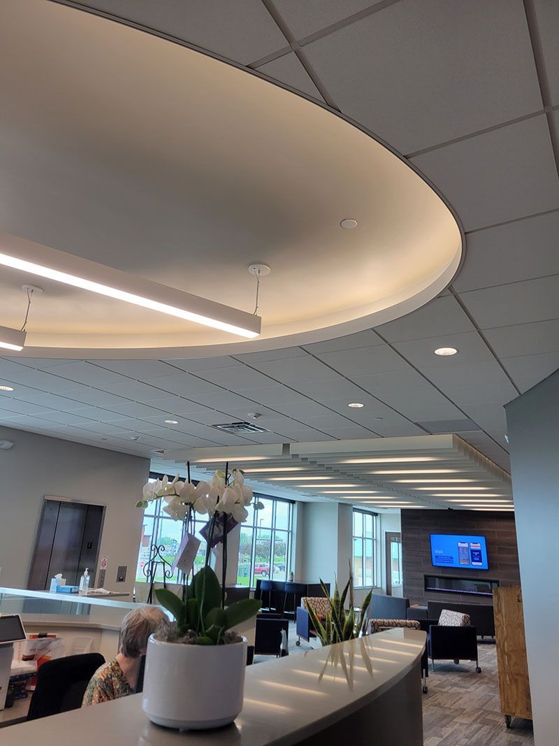 Modern office interior with curved ceiling, recessed lighting, and plant in a white pot on a counter.