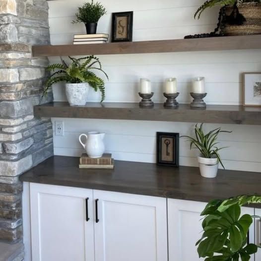 White shelving and a cabinet with potted plants, candles, and decor in a bright modern room