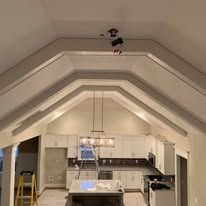 Kitchen with vaulted white ceiling and a small black-and-white dog perched near the peak.
