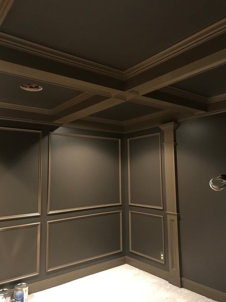 Empty modern room with dark paneled walls, a coffered ceiling, and a bright floor corner.