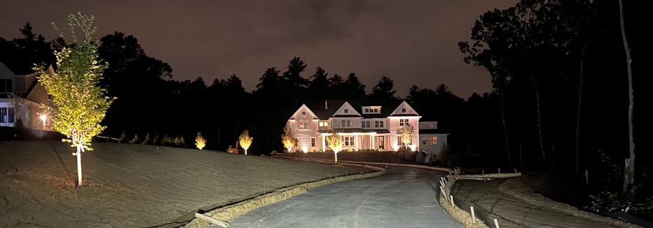 Nighttime driveway leading to a large illuminated house with trees and dark lawn.