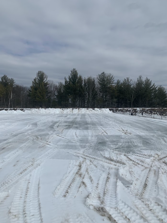 Snow-covered field with tire tracks leading to a line of trees under a cloudy sky