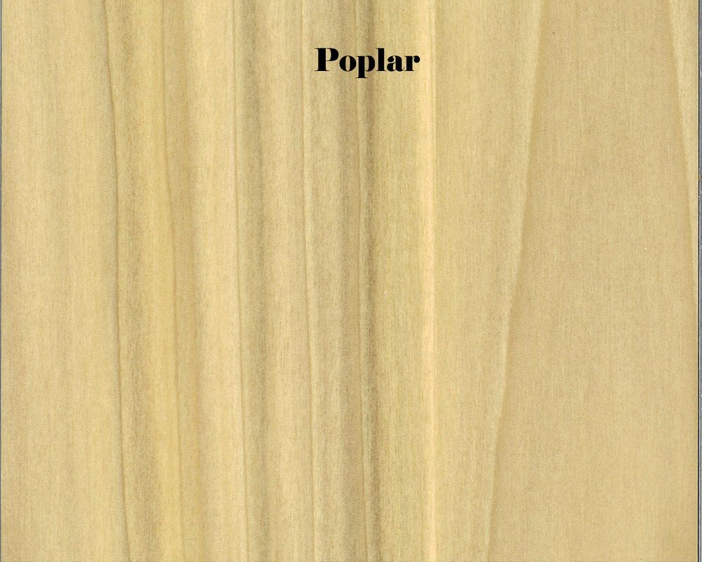 Poplar