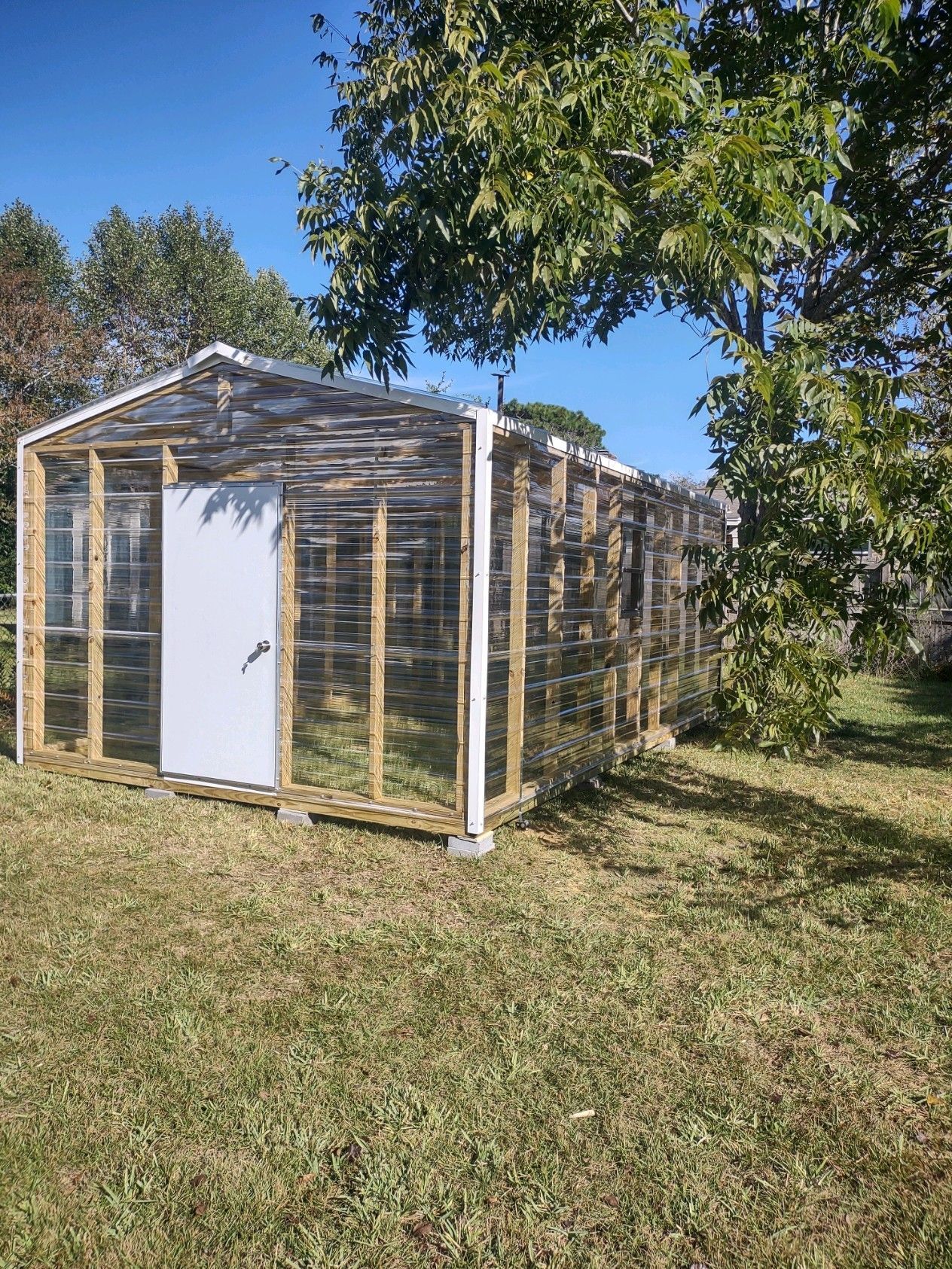 A greenhouse is sitting in the middle of a grassy field next to a tree.
