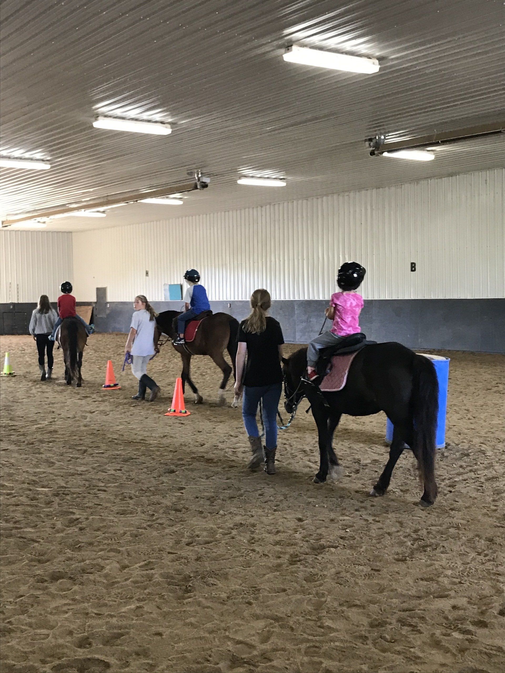Birthday Parties Pony Rides Slinger, WI