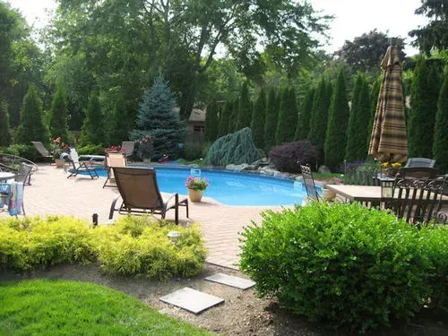 A backyard swimming pool with a stone patio, lounge chairs, a dining set, and lush green landscaping.