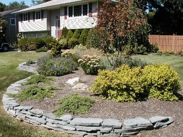 A split-level house with a landscaped front yard featuring a low stone retaining wall and various green and yellow shrubs.