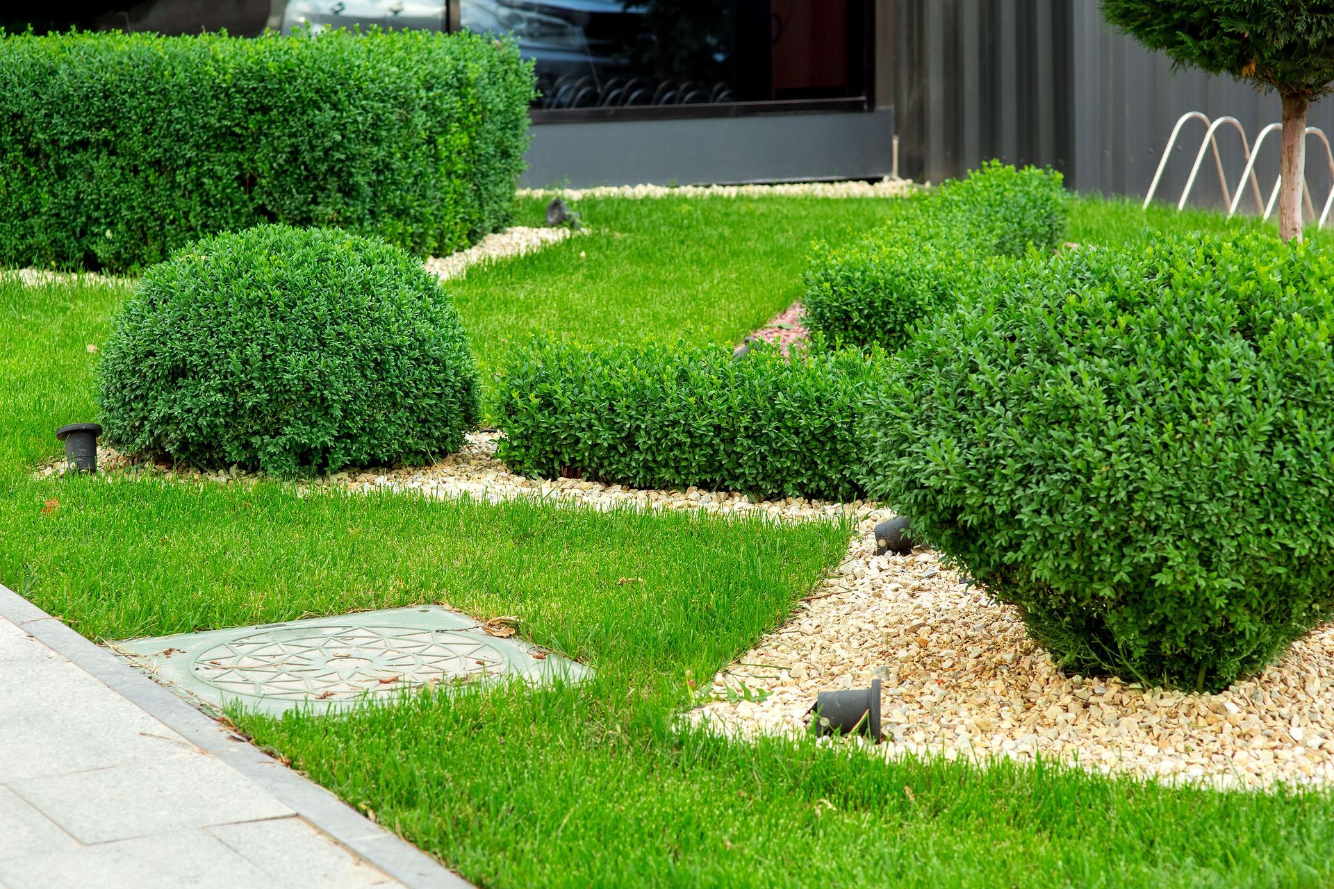 A landscaped garden with manicured spherical and rectangular green shrubs, a bright green lawn, and light gravel beds.