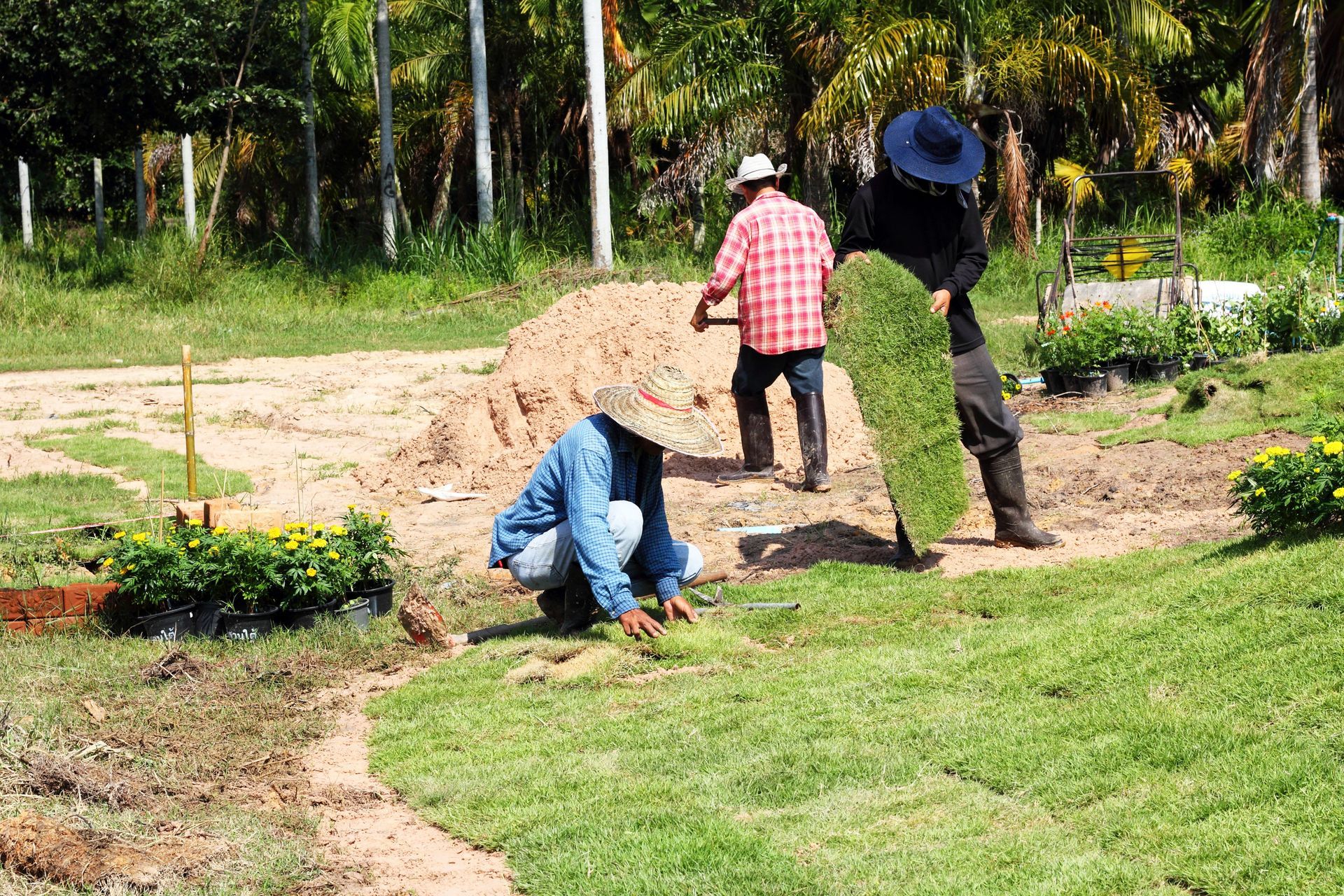 Three people work outdoors on a sunny day, planting sod and arranging small potted plants on a patch of soil.