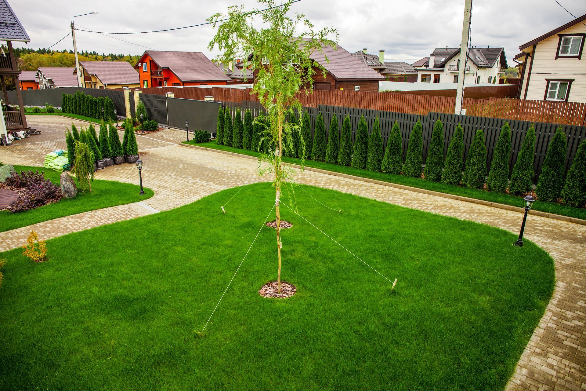 A well-maintained lawn with a small, staked tree in the center, framed by stone pathways and a row of evergreen shrubs.