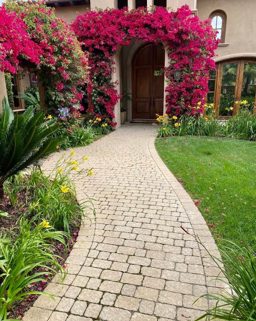 Stone path leading to a house entrance framed by bright pink bougainvillea and lush garden greenery