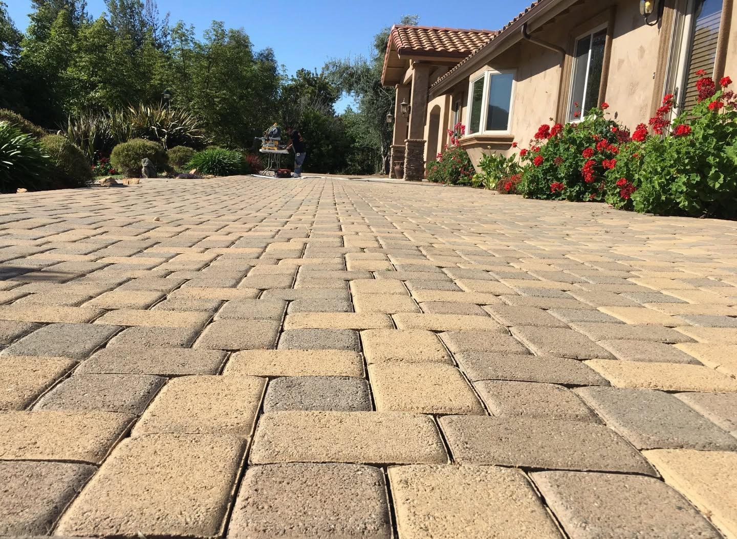 Low-angle view of a stone-paved driveway beside a beige house and red flowers under a clear blue sky