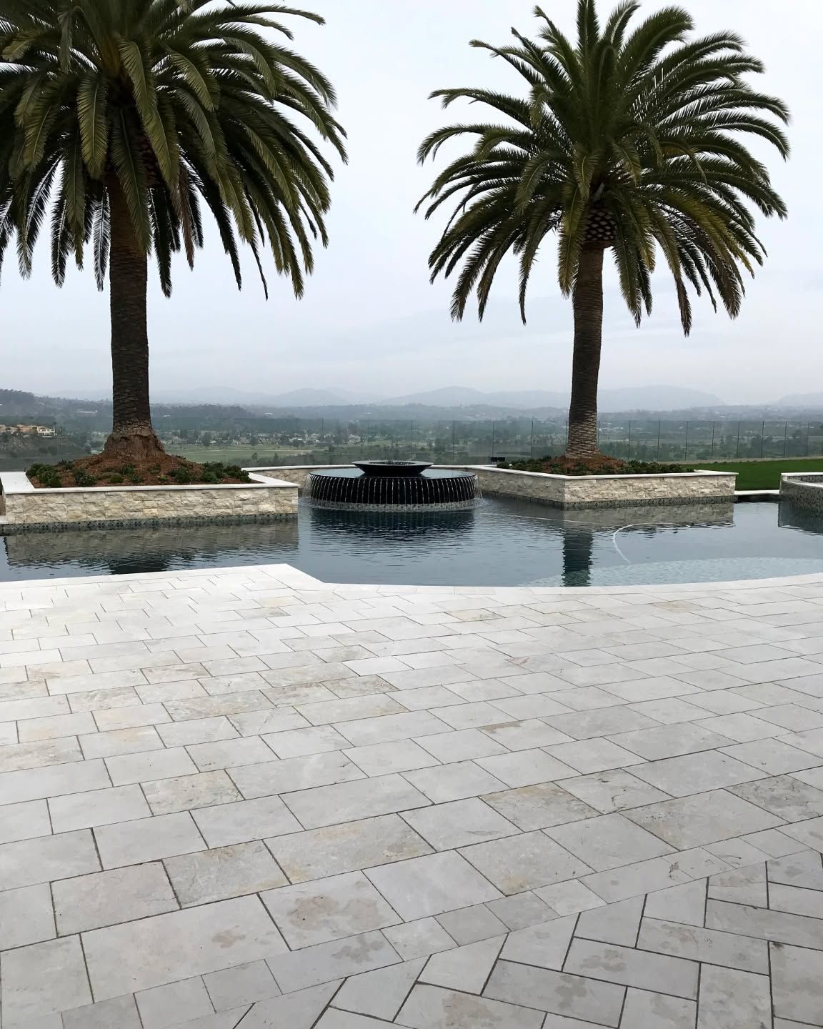 Two palm trees beside a small reflecting pool overlooking a hazy landscape