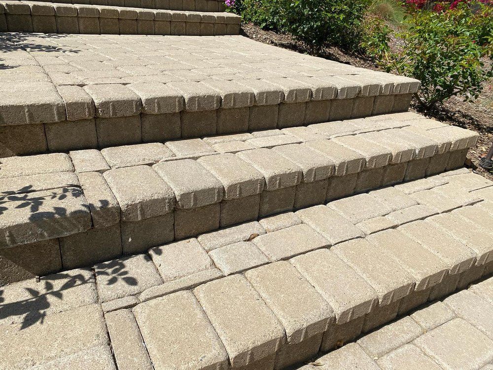 Beige stone steps leading up a landscaped garden path in sunlight