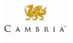 Gold dragon icon above