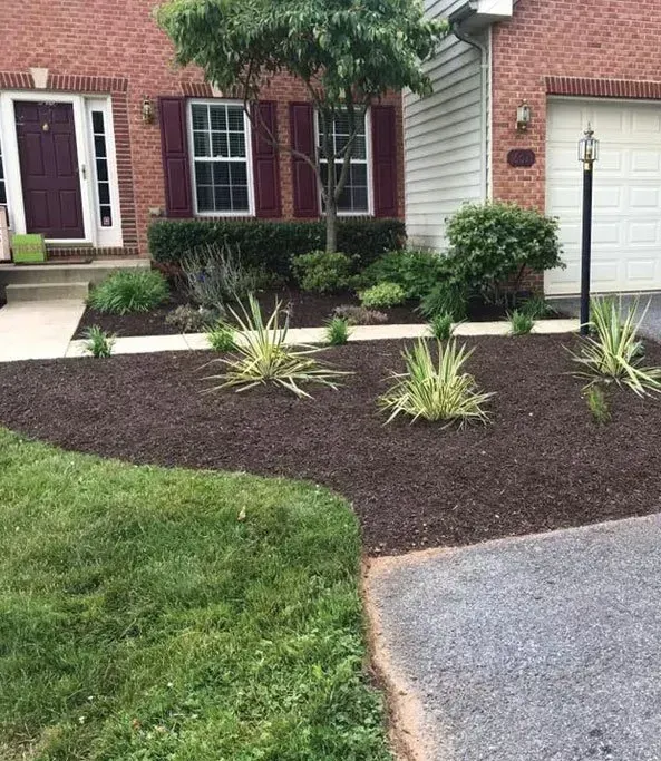 Pile of cut firewood stacked outdoors on grass and pavement.