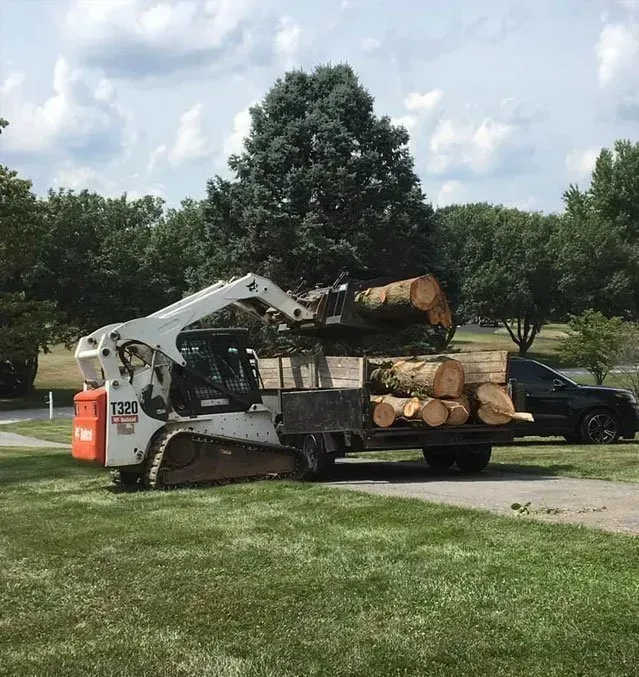 Pile of cut firewood stacked outdoors on grass and pavement.