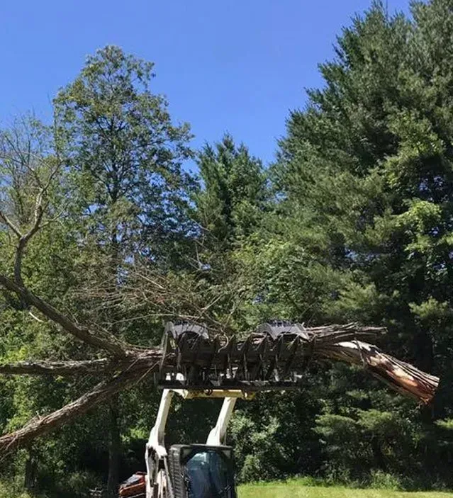 Pile of cut firewood stacked outdoors on grass and pavement.