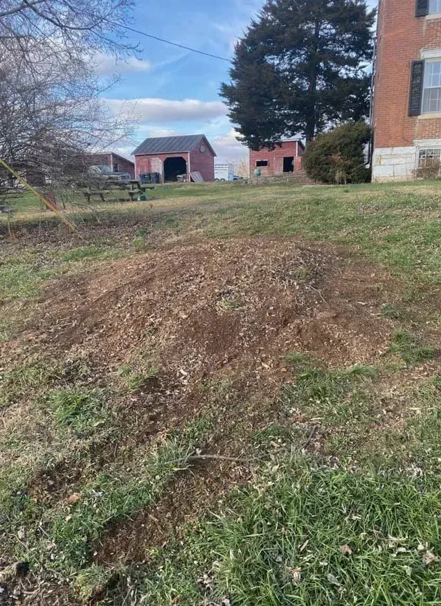 Pile of cut firewood stacked outdoors on grass and pavement.