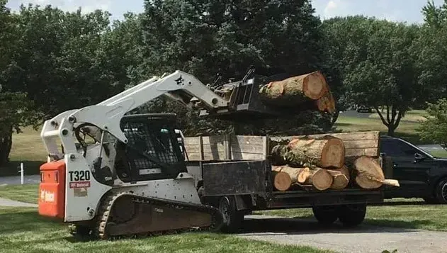 Pile of cut firewood stacked outdoors on grass and pavement.