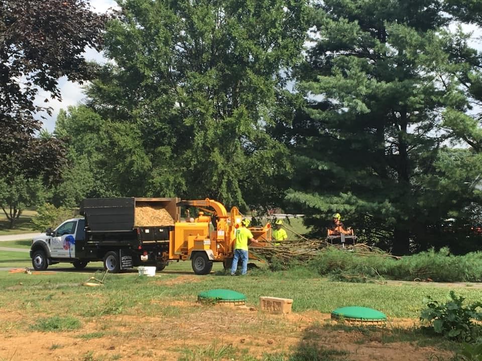 Tree service crew chipping branches into a truck, in a yard, with trees in the background.