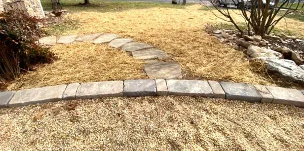 Stone path curving through yard with curb edging.