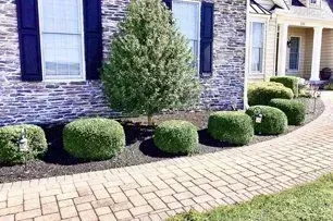 Brick home with manicured shrubs along a brick walkway.