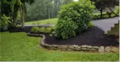 Lush green lawn with dark mulch beds edged by stone, holding a large green shrub and other small plants.