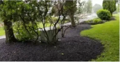 Dark mulch borders a green lawn with trees and shrubs in a rain-soaked setting.