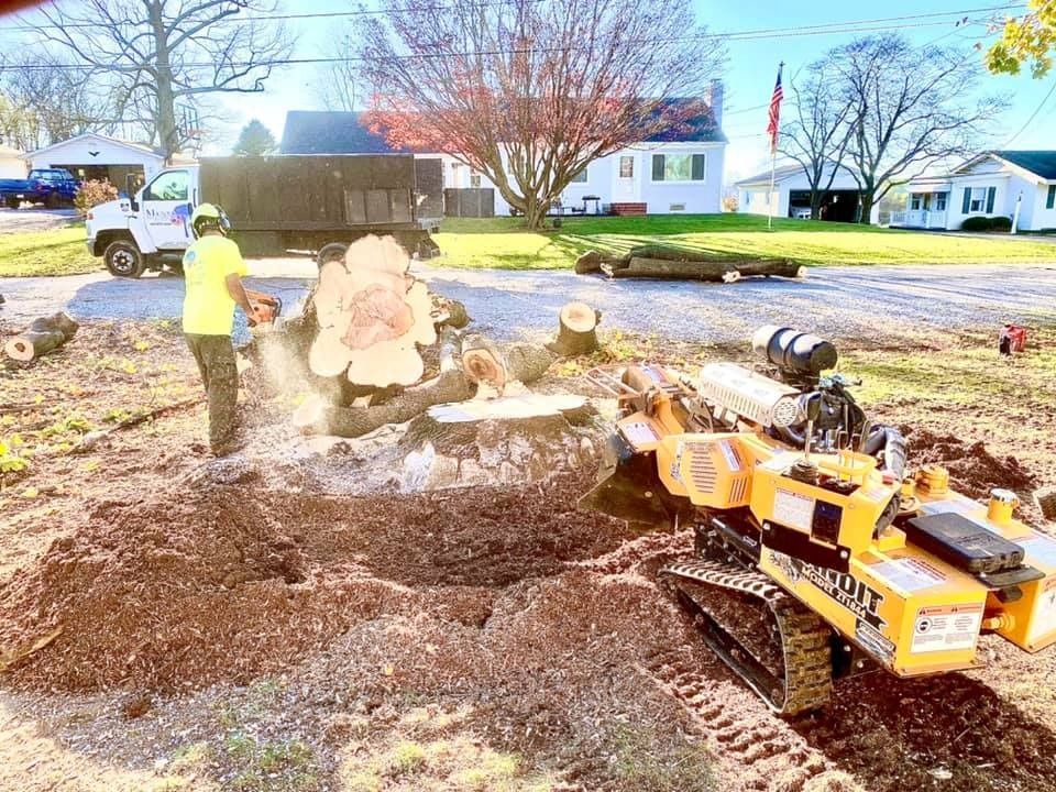 Man cutting tree stump with chainsaw; stump grinder nearby on a residential lot.