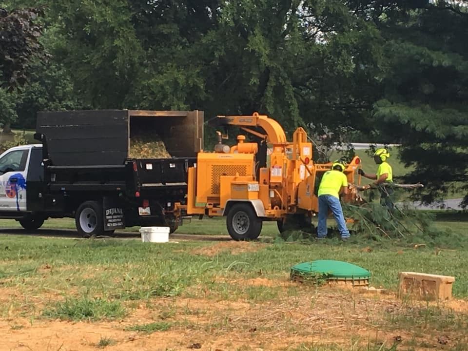 Yellow wood chipper processing tree branches, being fed by workers in a grassy area, next to a flatbed truck.