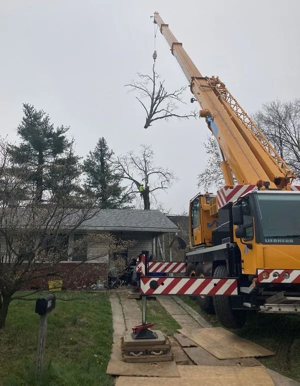 A crane lifts tree branches over a house with a cloudy sky.