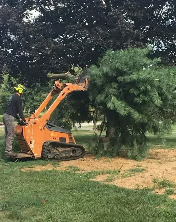A landscaped garden with a rock border, mulch, and green bushes next to a driveway.
