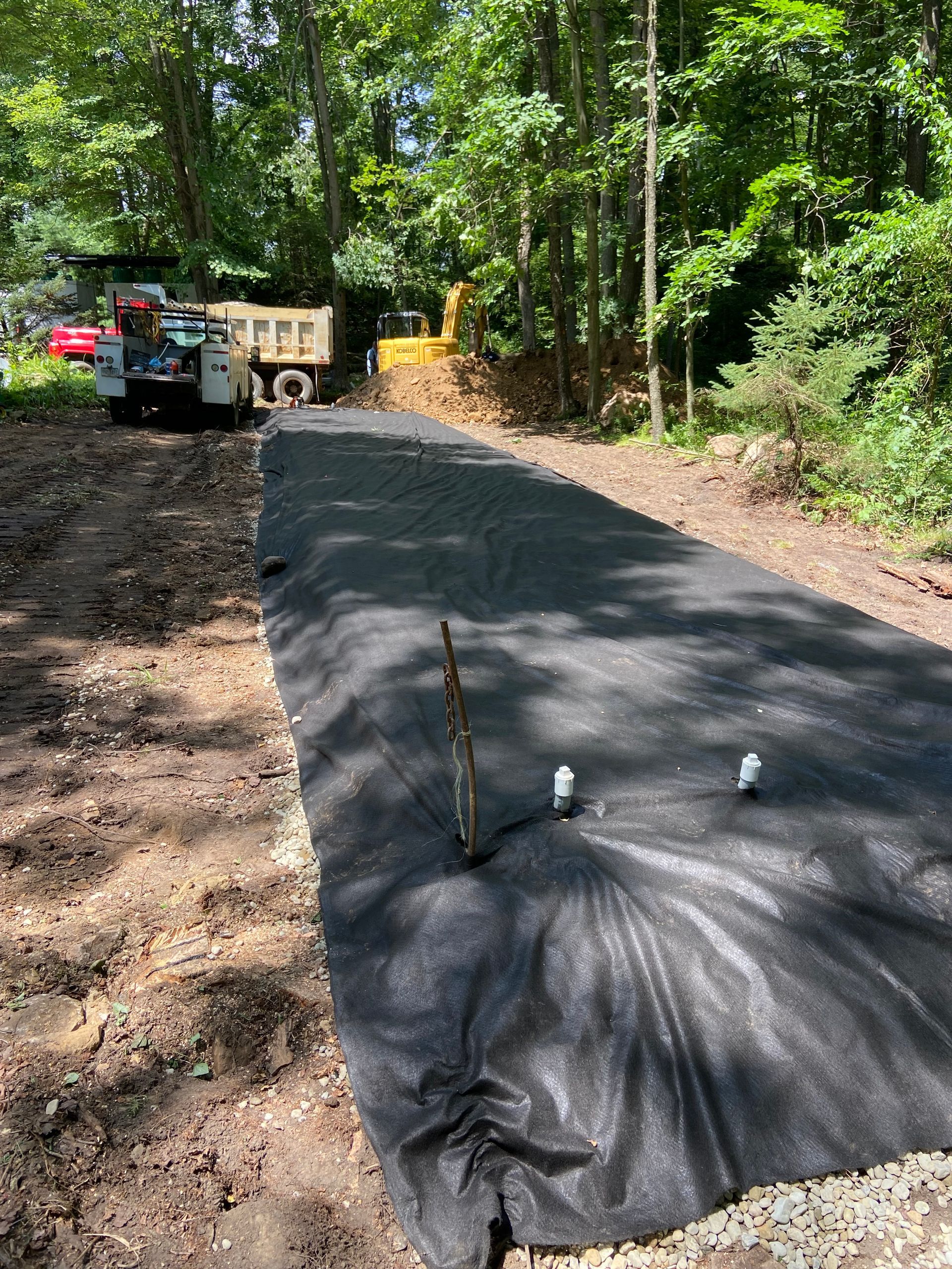 A black tarp is covering a dirt road in the woods