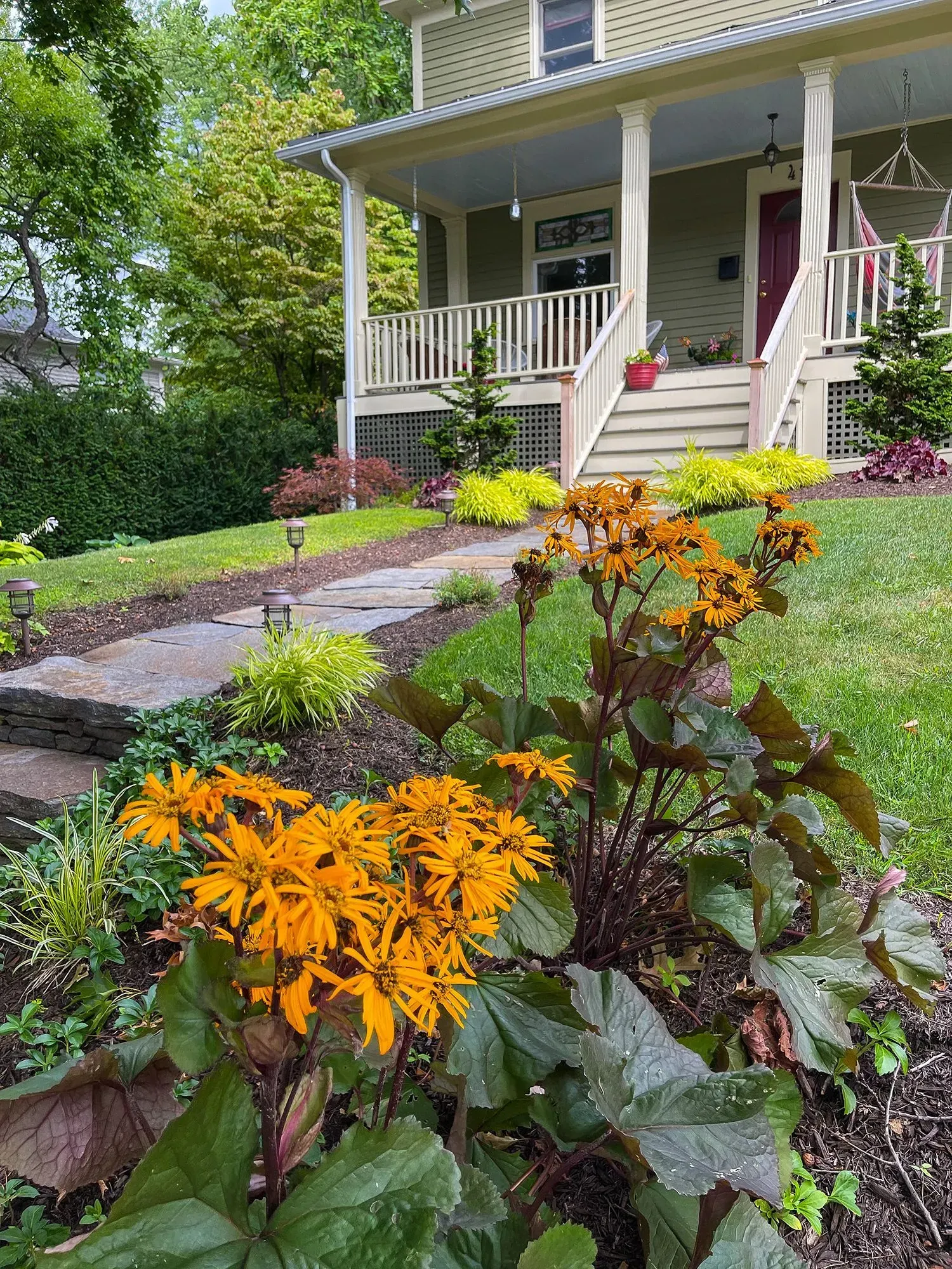 Orange flowers in bloom in front of a green house with a porch and steps.