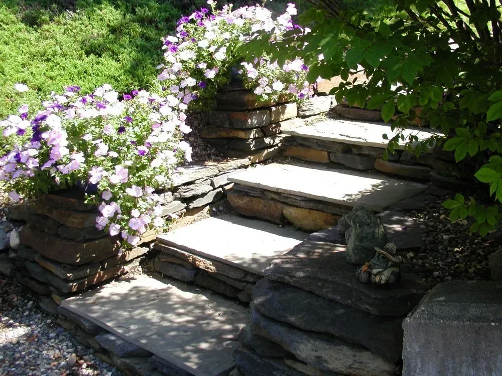 Stone steps leading up, with flower pots filled with purple and white petunias.